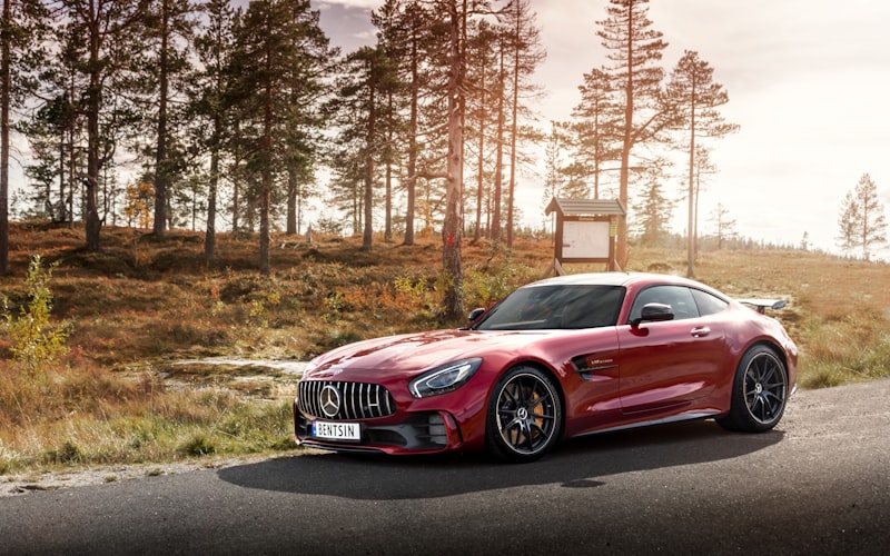 Glucklicher Vierblattriges Kleeblatt Armband Weiblicher Titan — Airyclub