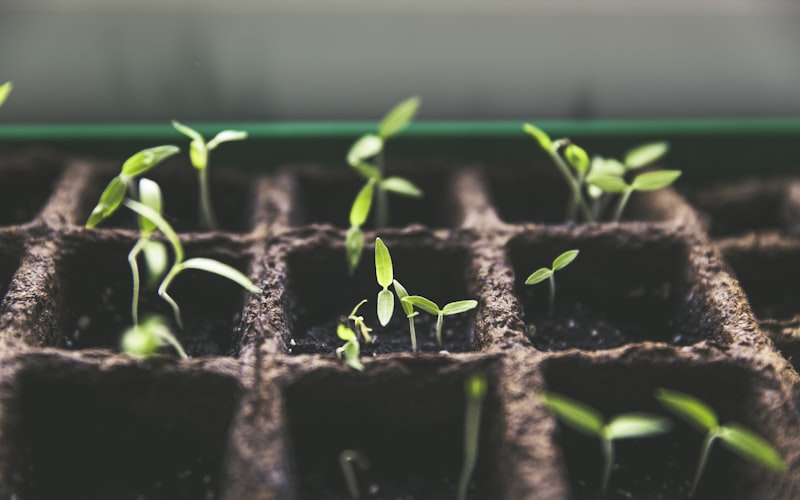 50 Stucke 10Mm Mischblumen Polymer Fimo Ton Runde Diy Funde