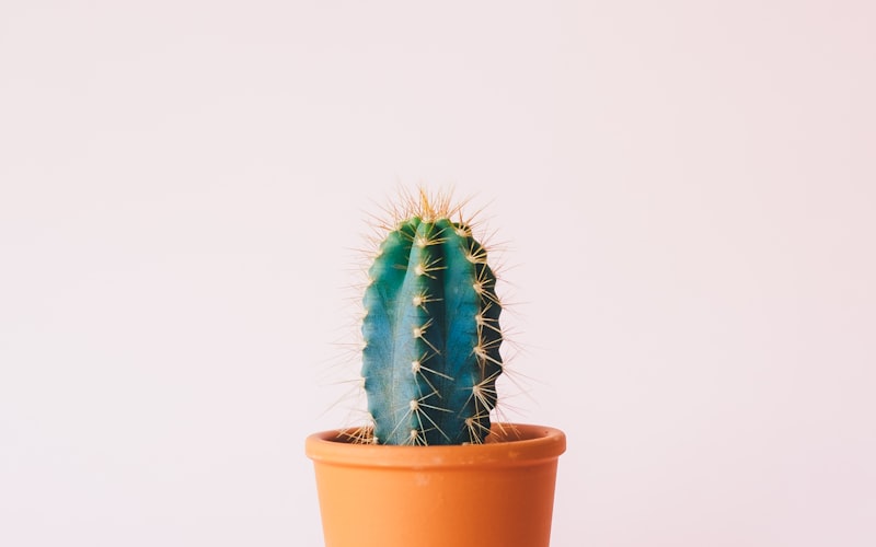 Auto Spiegel 360 Grad Einstellbar Weitwinkel Seite Ruckspieg