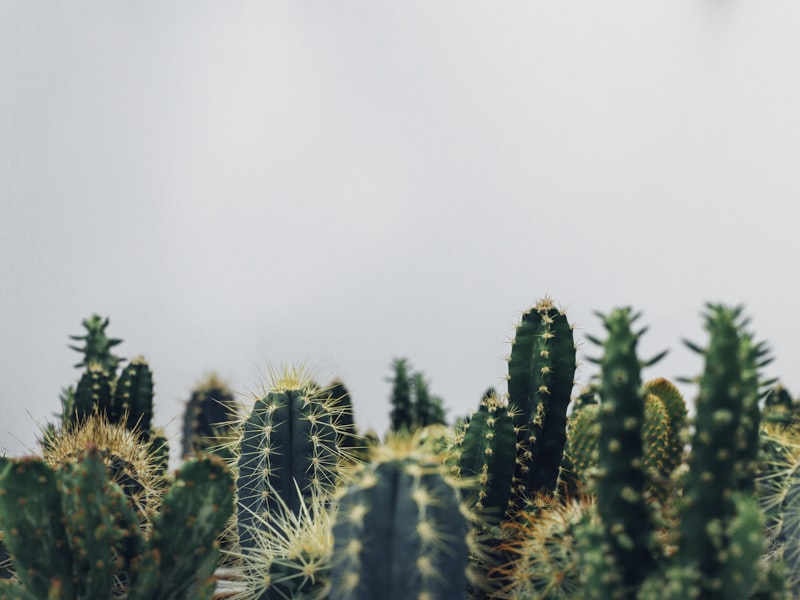 3D Puzzle Dreidimensionales Puzzle Board Holz Mosaik Modell