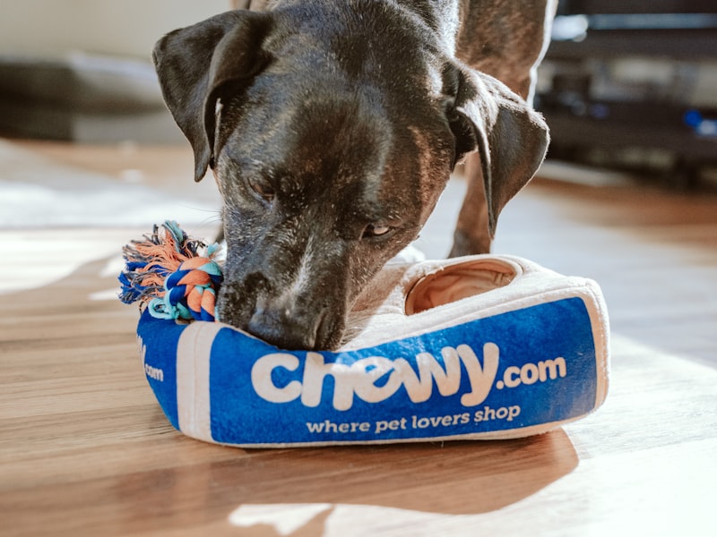 1Pc Body Art Schwarz Weiss Zeichnung Little Element Kleine S