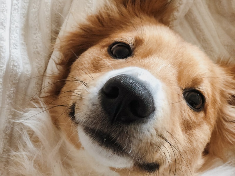 Keramik Handwerk Winddicht Wasserfall Ruckfluss Schadel