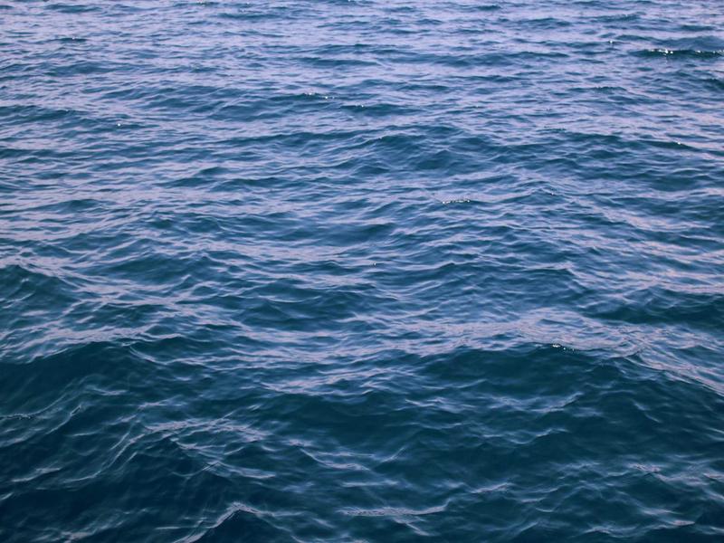 Dunne Pu Ledergurtel Weiblich Rot Braun Schwarz Weiss Gelb Taille — Airyclub