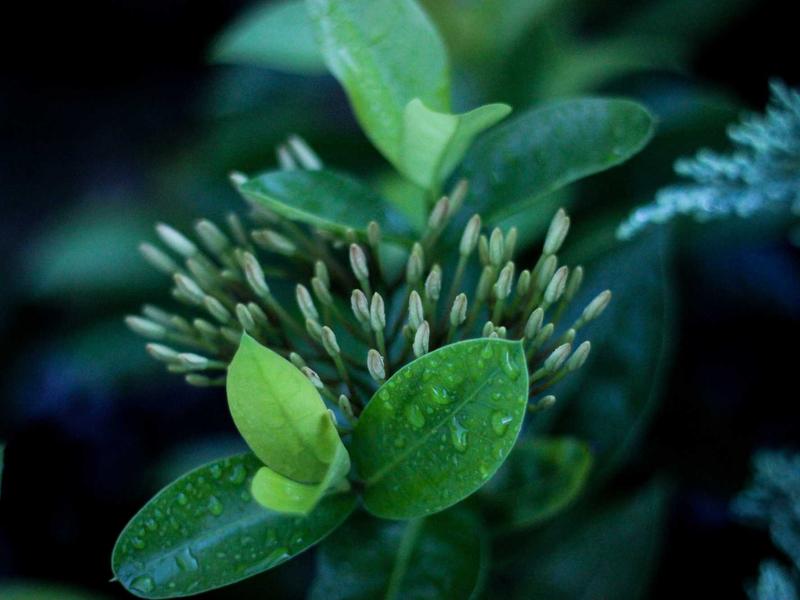 6mm Gt2 Rf Glasfaser Verstarkter Gummi Zahnriemen Fur 3d Drucker 10